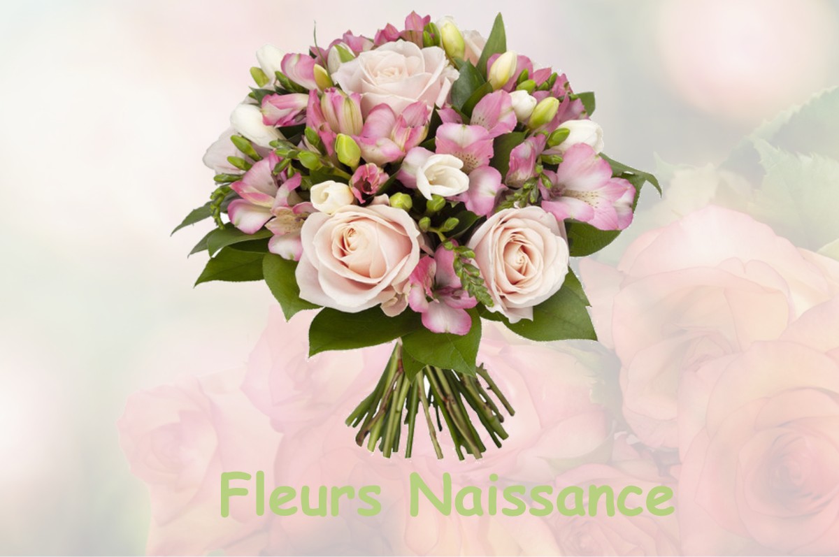 fleurs naissance SERANON