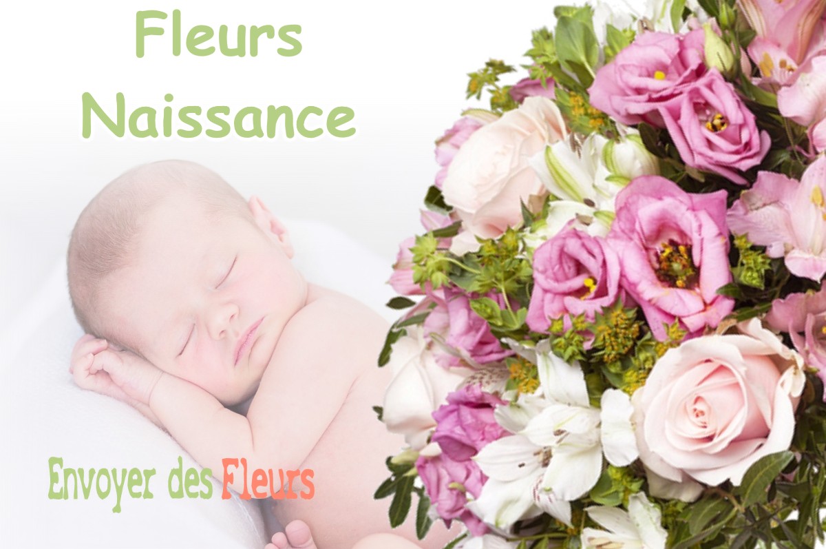 lIVRAISON FLEURS NAISSANCE à SERANON